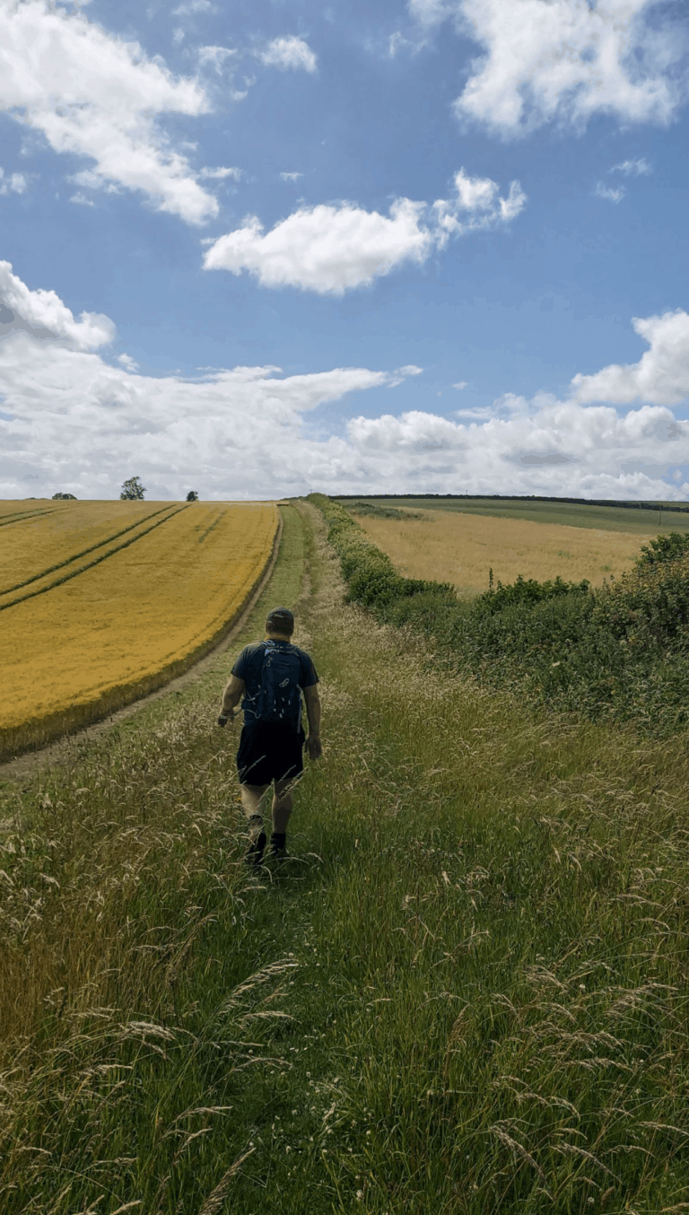 Ansty Circular via Cheselbourne, taking in Gallows Corner, and the Dorset Gap | 9.7 Miles | Dorset Walks