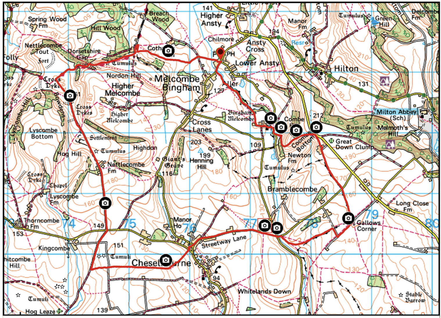 Ansty Circular Via Cheselbourne Gallows Corner And Dorset Gap