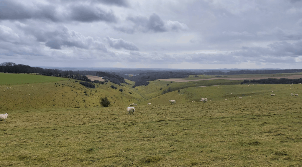 Win Green to Tollard Royal Circular Walk