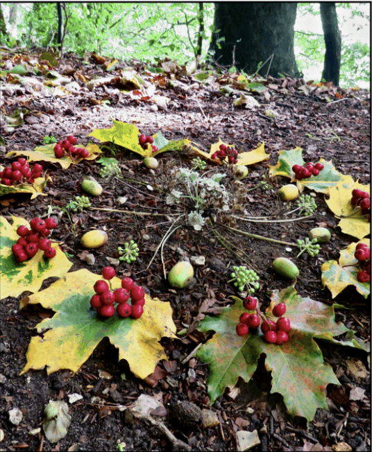 Autumn has arrived