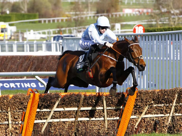 Honeysuckle; born in the Blackmore Vale, ridden by Blackmore to win the Champion Hurdle