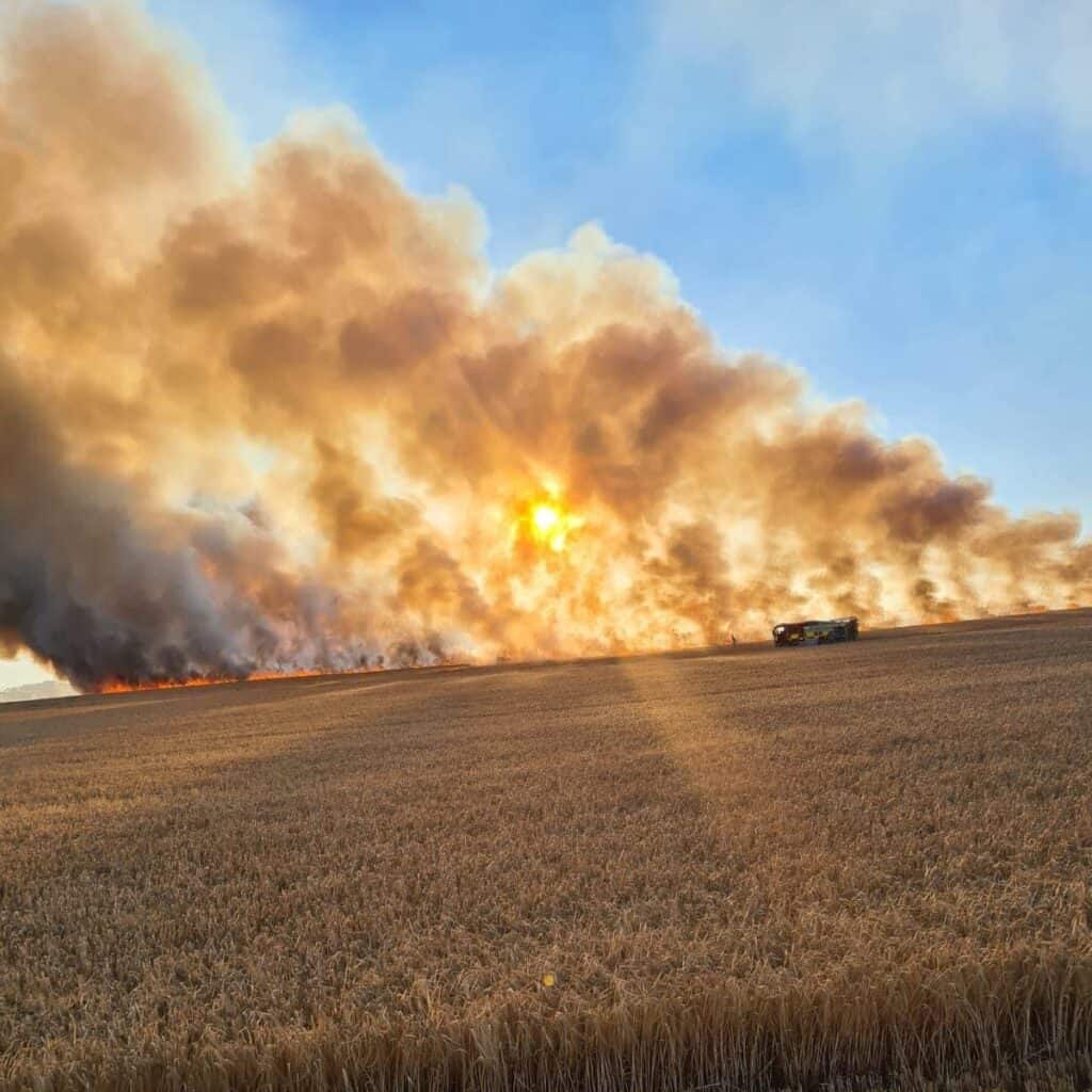 Field Fire Dorset