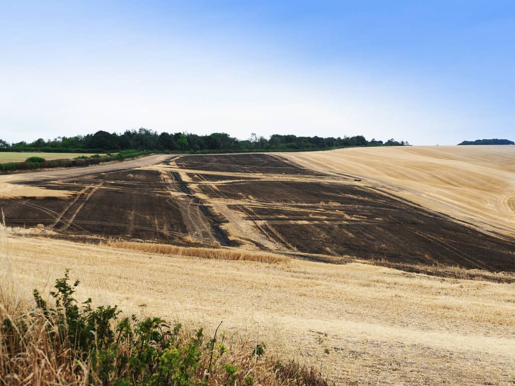 results of field fires in Dorset