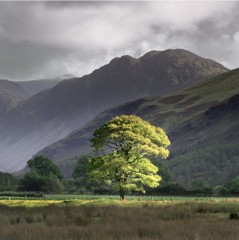 Charlie Waite and the Landscape Photographer of the Year Competition