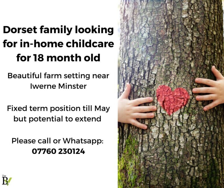 Local family looking for in home childcare for 18 month old | Nr Iwerne Minster